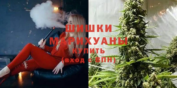 дурь Богданович